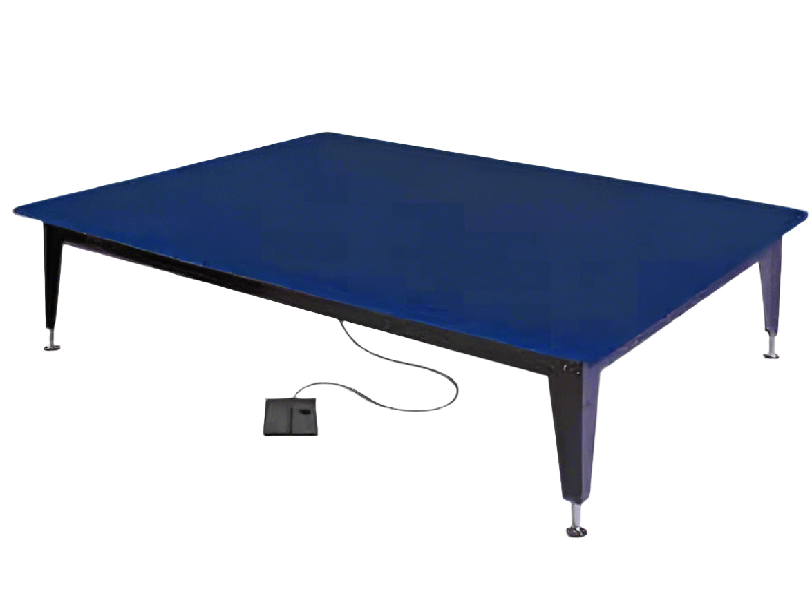Hausmann Bariatric Electric Hi-Lo Mat Platform